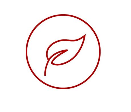 Icon with leaf for nature, sustainability, environment, e4