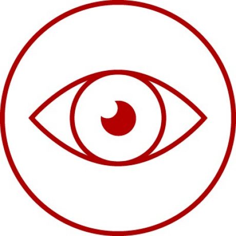 Icon for aesthetic, visualisation, surveillance